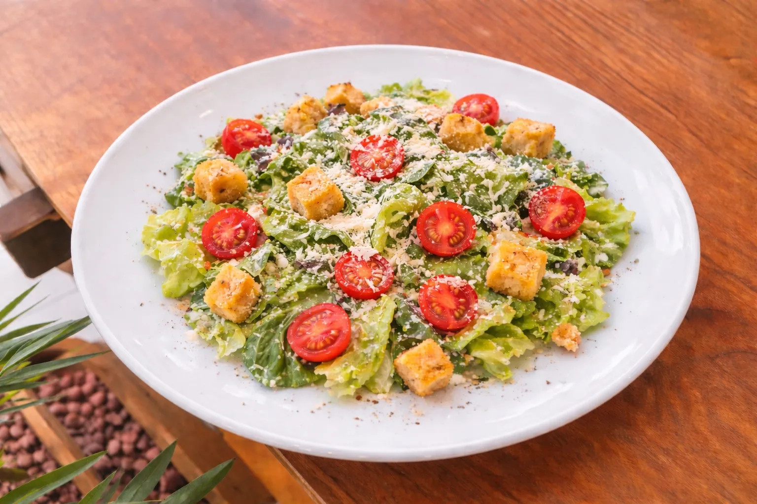 SEZAR SALATA